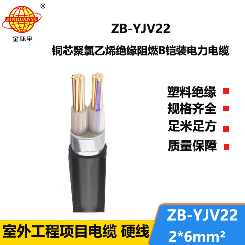 金環(huán)宇電纜 銅芯低壓阻燃電纜ZB-YJV22-2X6平方鎧裝電纜