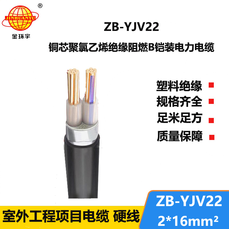 金環(huán)宇電纜 阻燃鎧裝地埋電纜ZB-YJV22-2X16平方 yjv22電纜